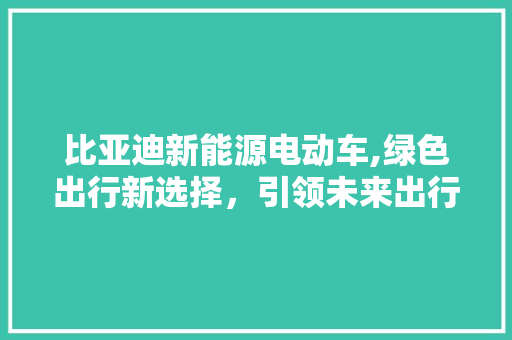 比亚迪新能源电动车,绿色出行新选择，引领未来出行潮流
