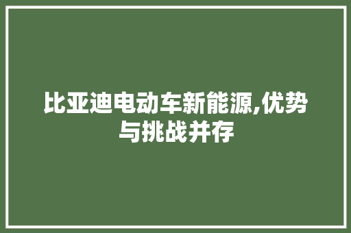 比亚迪电动车新能源,优势与挑战并存
