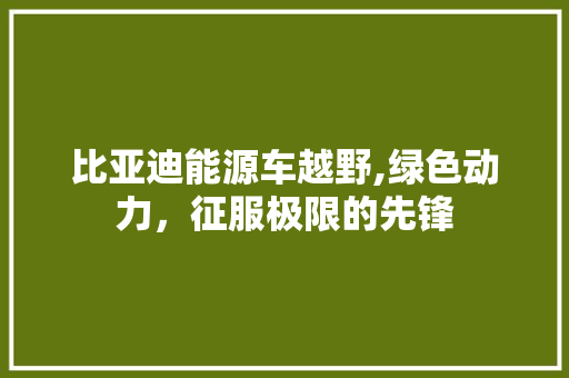 比亚迪能源车越野,绿色动力，征服极限的先锋