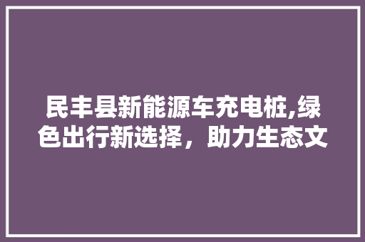 民丰县新能源车充电桩,绿色出行新选择，助力生态文明建设