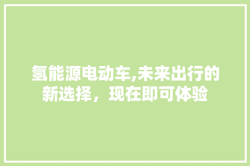 氢能源电动车,未来出行的新选择，现在即可体验