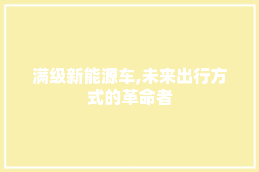 满级新能源车,未来出行方式的革命者