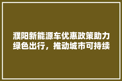 濮阳新能源车优惠政策助力绿色出行，推动城市可持续发展