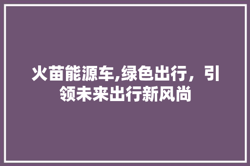 火苗能源车,绿色出行，引领未来出行新风尚