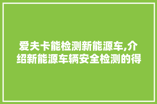 爱夫卡能检测新能源车,介绍新能源车辆安全检测的得力助手