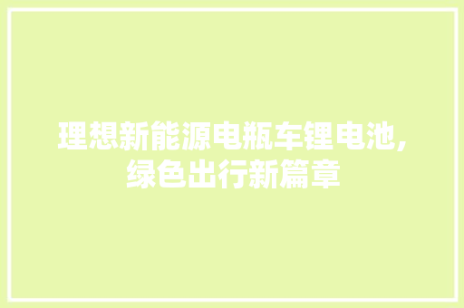 理想新能源电瓶车锂电池,绿色出行新篇章