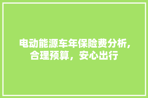 电动能源车年保险费分析,合理预算，安心出行