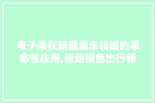 电子泵在新能源车领域的革命性应用,驱动绿色出行新纪元