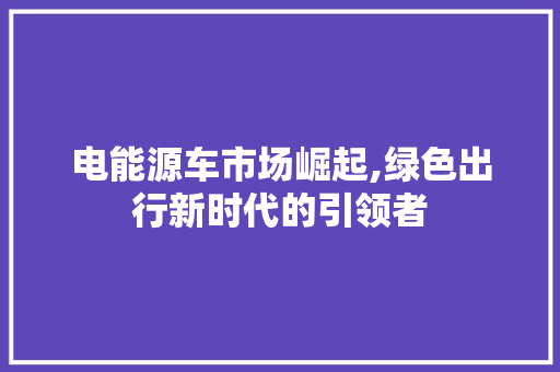 电能源车市场崛起,绿色出行新时代的引领者