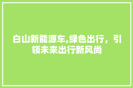 白山新能源车,绿色出行，引领未来出行新风尚