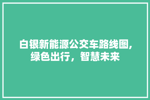 白银新能源公交车路线图,绿色出行，智慧未来