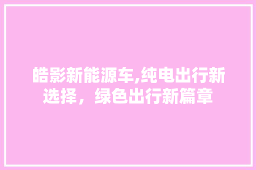 皓影新能源车,纯电出行新选择，绿色出行新篇章