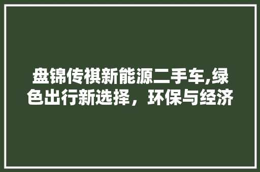 盘锦传祺新能源二手车,绿色出行新选择，环保与经济并存