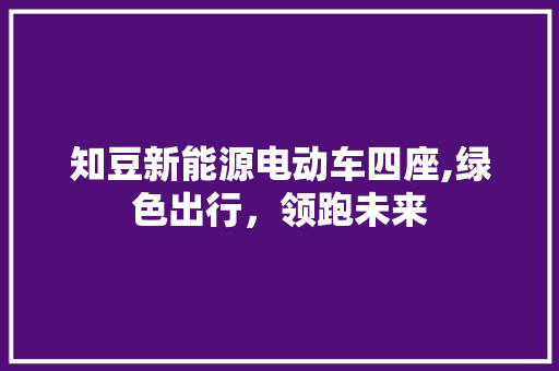 知豆新能源电动车四座,绿色出行，领跑未来