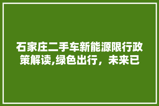 石家庄二手车新能源限行政策解读,绿色出行，未来已来