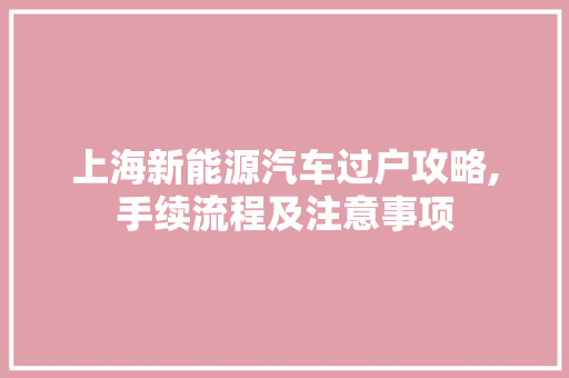上海新能源汽车过户攻略,手续流程及注意事项