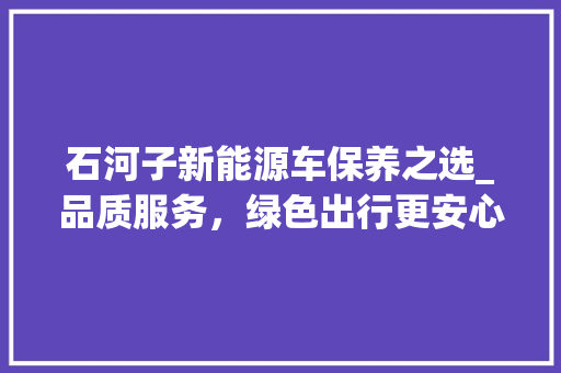 石河子新能源车保养之选_品质服务，绿色出行更安心
