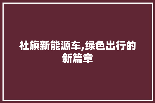 社旗新能源车,绿色出行的新篇章