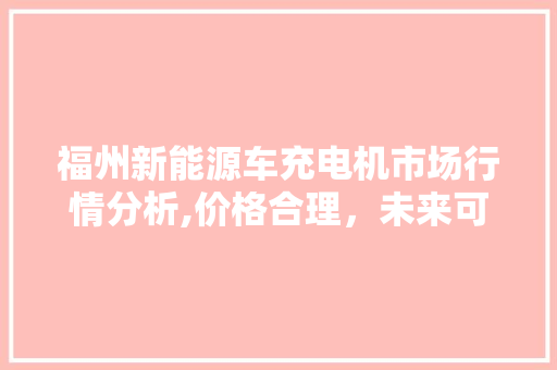 福州新能源车充电机市场行情分析,价格合理，未来可期