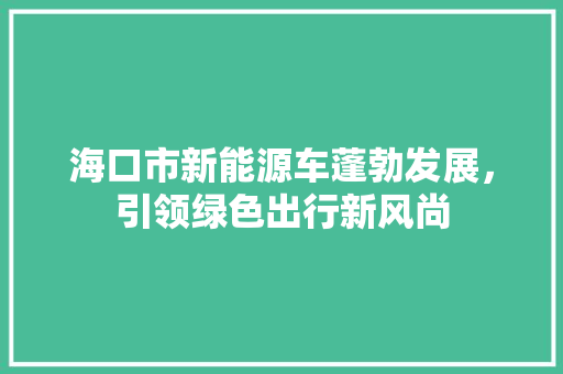 海口市新能源车蓬勃发展，引领绿色出行新风尚