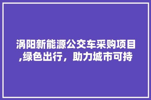 涡阳新能源公交车采购项目,绿色出行，助力城市可持续发展