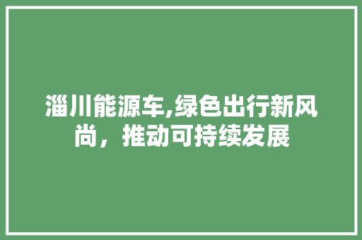 淄川能源车,绿色出行新风尚，推动可持续发展