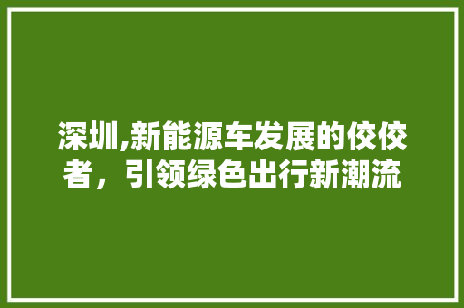深圳,新能源车发展的佼佼者，引领绿色出行新潮流 汽车保养