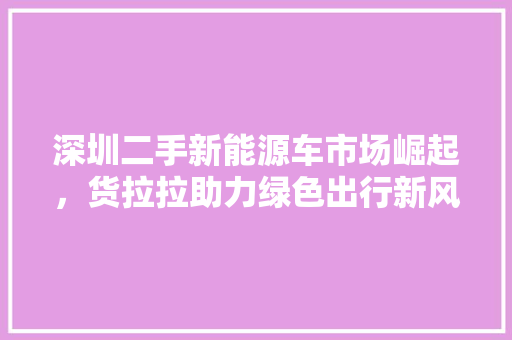 深圳二手新能源车市场崛起，货拉拉助力绿色出行新风尚