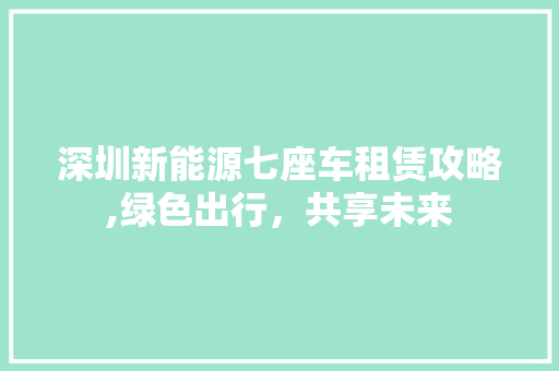 深圳新能源七座车租赁攻略,绿色出行，共享未来