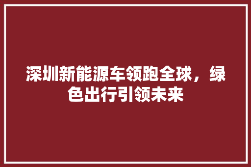 深圳新能源车领跑全球，绿色出行引领未来 车载导航