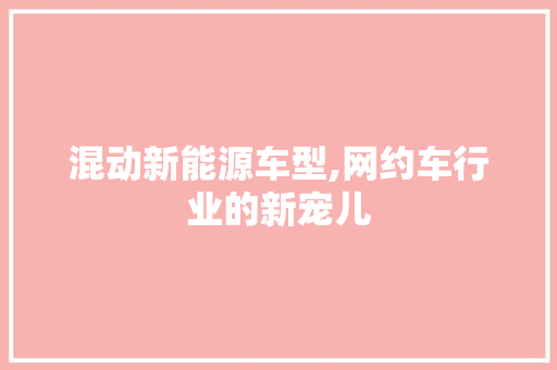 混动新能源车型,网约车行业的新宠儿