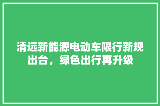 清远新能源电动车限行新规出台，绿色出行再升级