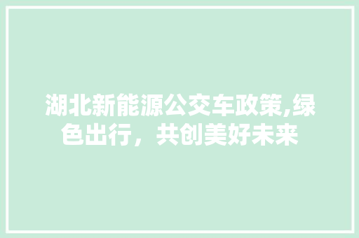 湖北新能源公交车政策,绿色出行，共创美好未来