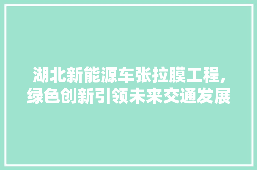 湖北新能源车张拉膜工程,绿色创新引领未来交通发展