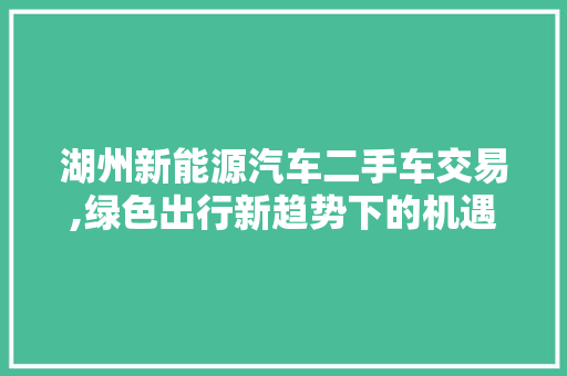 湖州新能源汽车二手车交易,绿色出行新趋势下的机遇与挑战