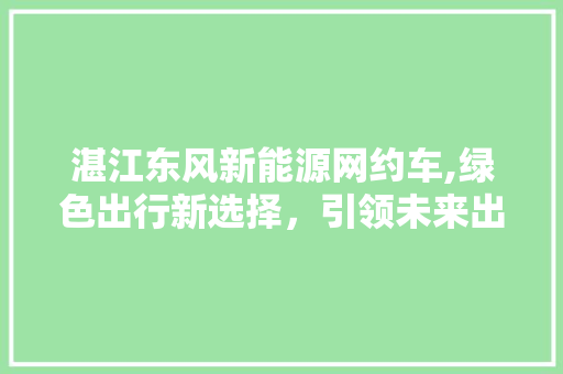 湛江东风新能源网约车,绿色出行新选择，引领未来出行潮流