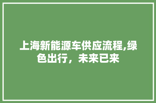 上海新能源车供应流程,绿色出行，未来已来