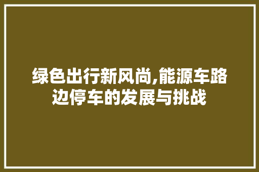绿色出行新风尚,能源车路边停车的发展与挑战 新车资讯