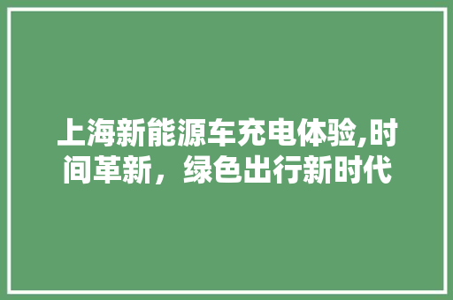 上海新能源车充电体验,时间革新，绿色出行新时代