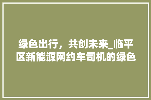 绿色出行，共创未来_临平区新能源网约车司机的绿色篇章 智能驾驶
