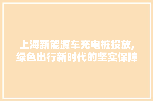 上海新能源车充电桩投放,绿色出行新时代的坚实保障
