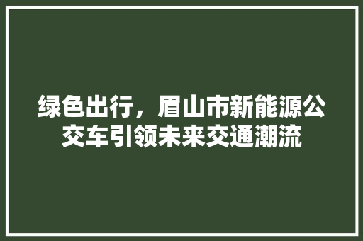绿色出行，眉山市新能源公交车引领未来交通潮流