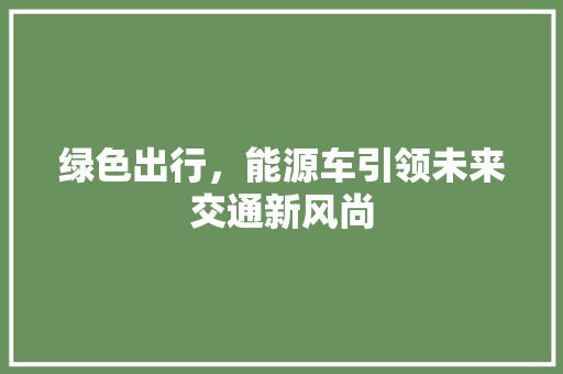 绿色出行，能源车引领未来交通新风尚 车型评测