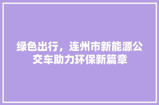 绿色出行，连州市新能源公交车助力环保新篇章