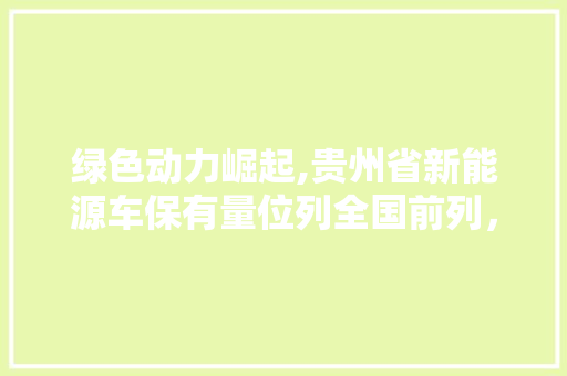 绿色动力崛起,贵州省新能源车保有量位列全国前列，引领区域绿色发展新潮流