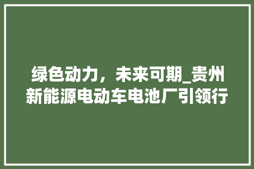绿色动力，未来可期_贵州新能源电动车电池厂引领行业发展