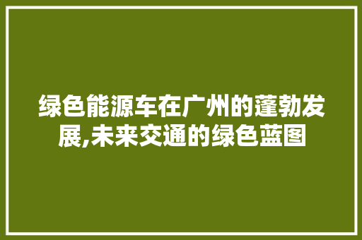 绿色能源车在广州的蓬勃发展,未来交通的绿色蓝图