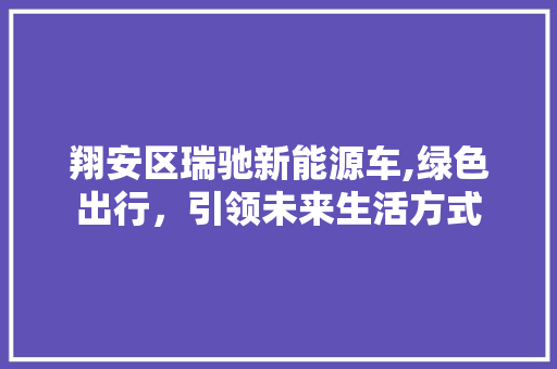 翔安区瑞驰新能源车,绿色出行，引领未来生活方式