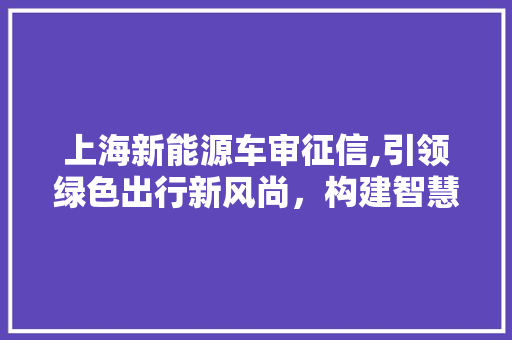 上海新能源车审征信,引领绿色出行新风尚，构建智慧交通体系