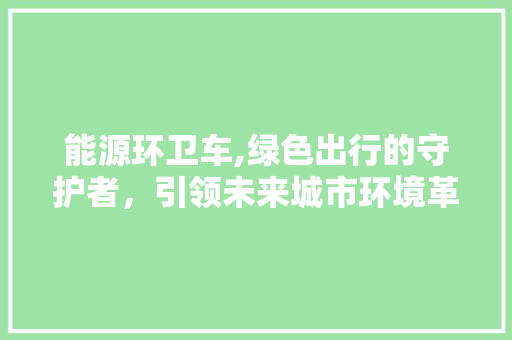 能源环卫车,绿色出行的守护者，引领未来城市环境革命